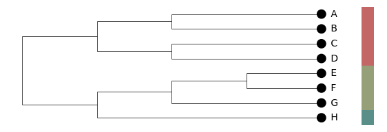 Cladogram with side bars